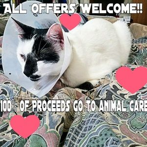 Meet your Posher, Clare